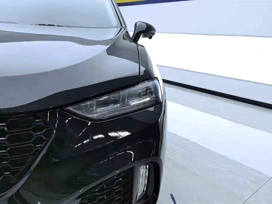 WEI PAI WEI BRAND VV7