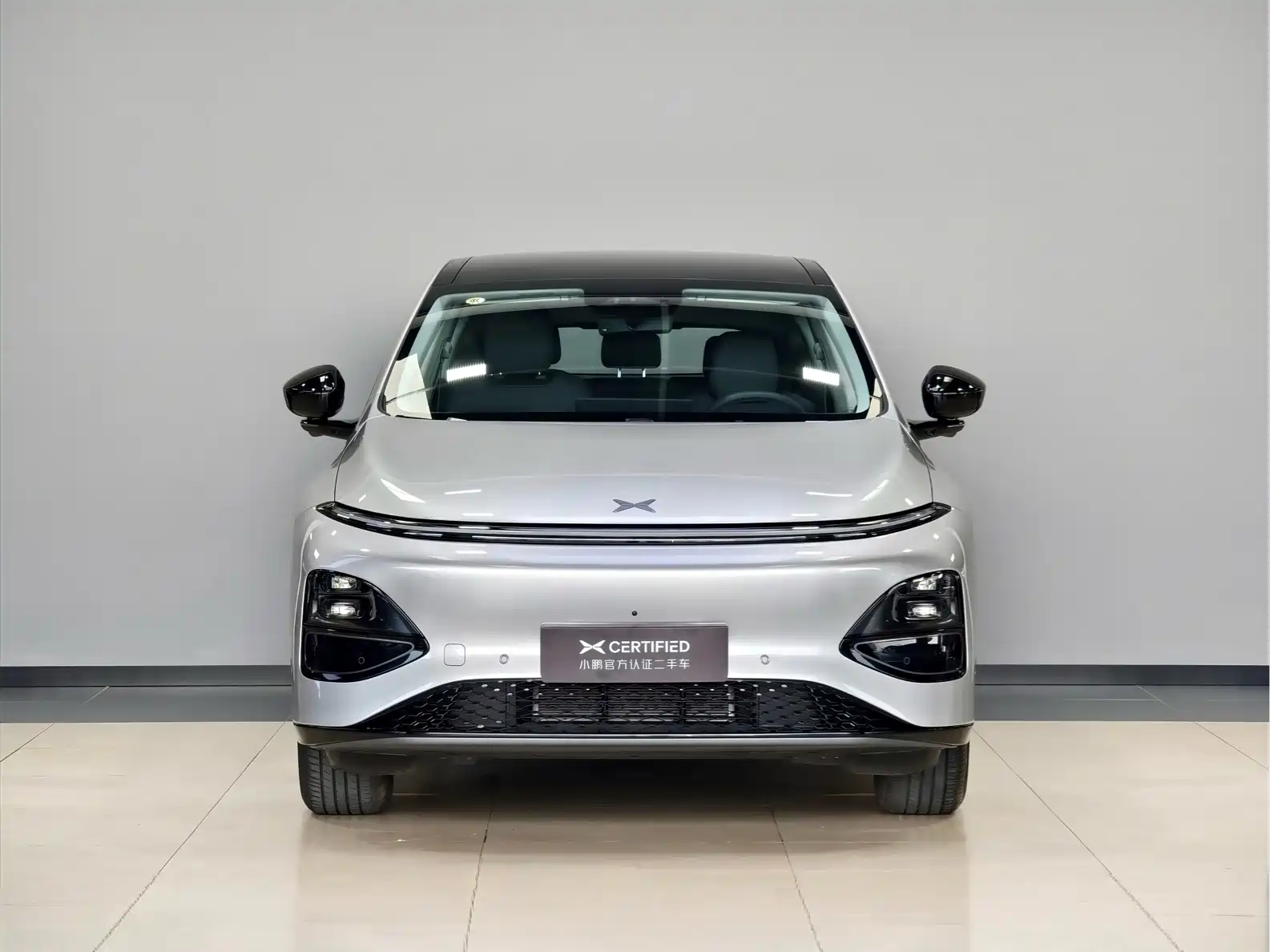 Фото 2 - XPeng G6