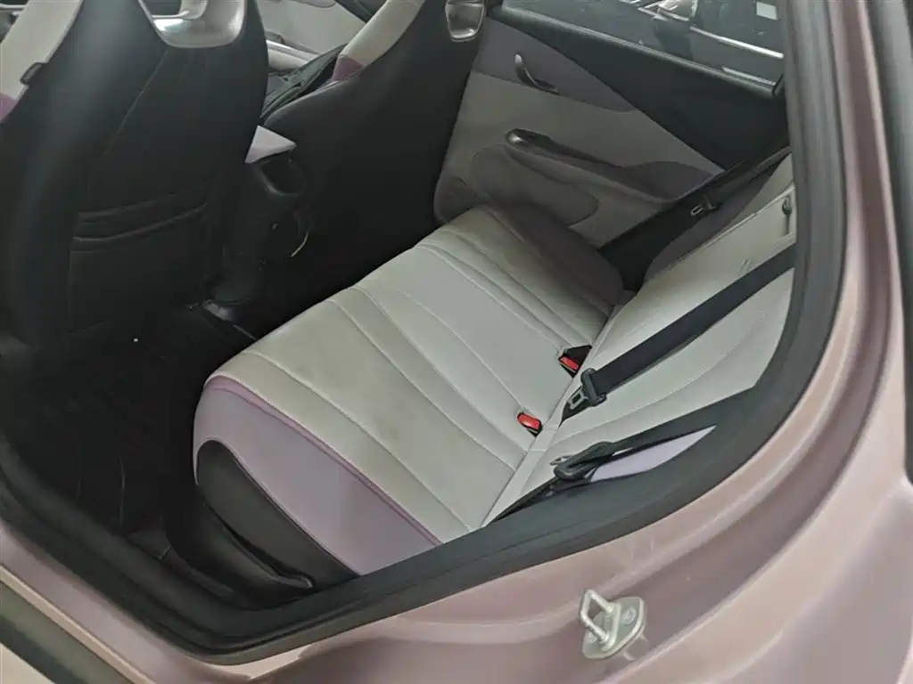 BYD Dolphin 2023 420km Fashion Edition фото 17