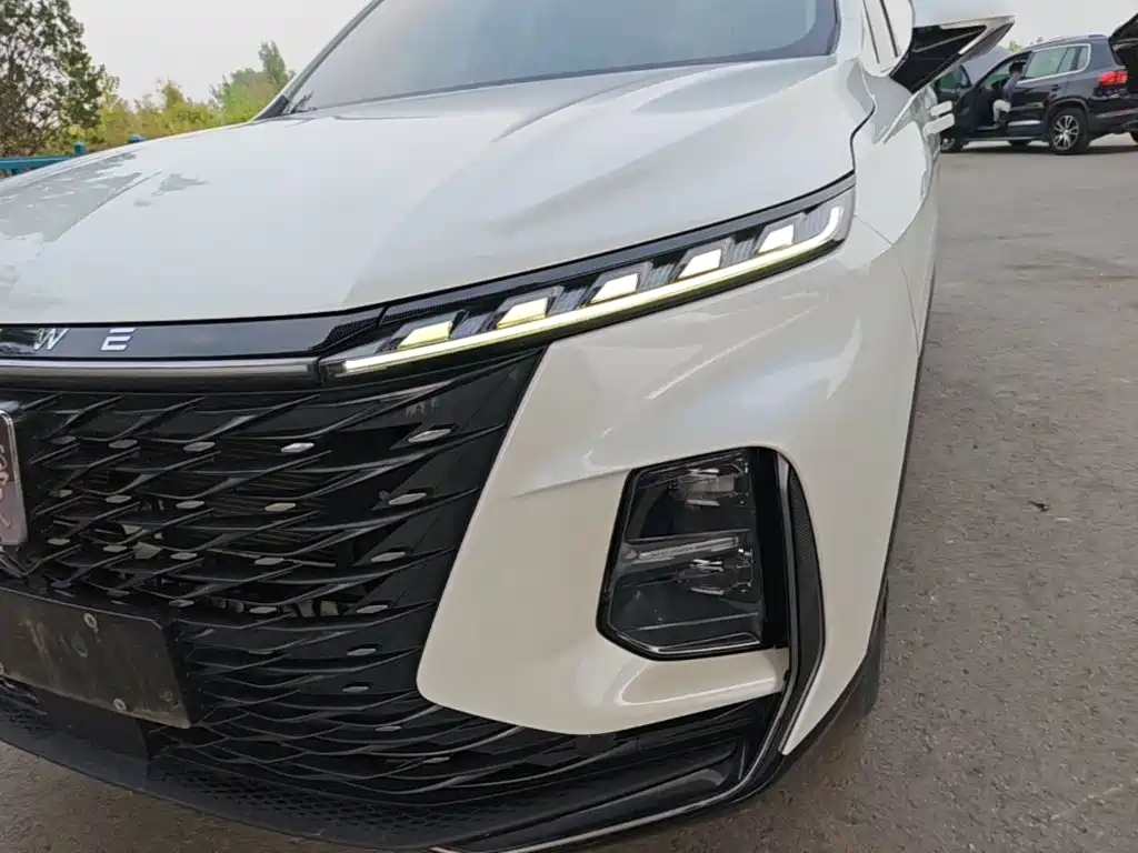 Roewe RX5 MAX 2023 2022 1.5T Auto Promising Luxury Edition