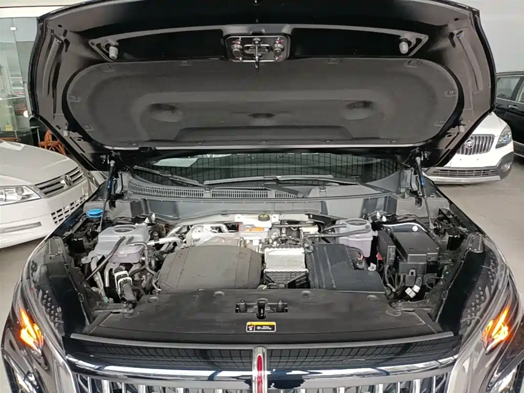 Hongqi HS3 PHEV 2025 PHEV 115km Power Edition фото 20