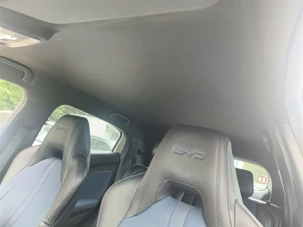 BYD Seagull 2024 Glory Edition 305km Vitality Edition фото 18