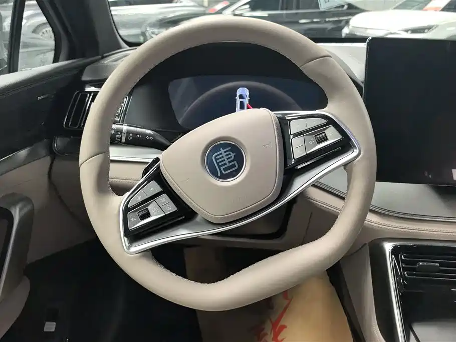 BYD Tang New Energy 2025 DM-i 115KM Flagship фото 15