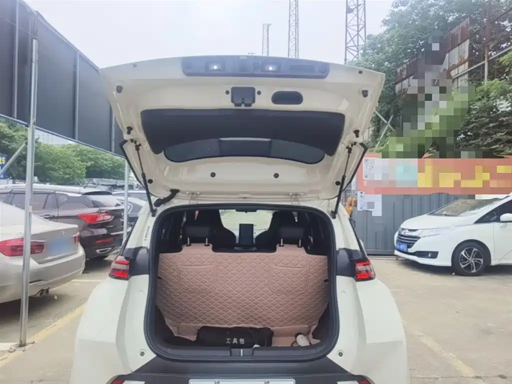 BYD Seagull 2024 Glory Edition 305km Vitality Edition фото 19