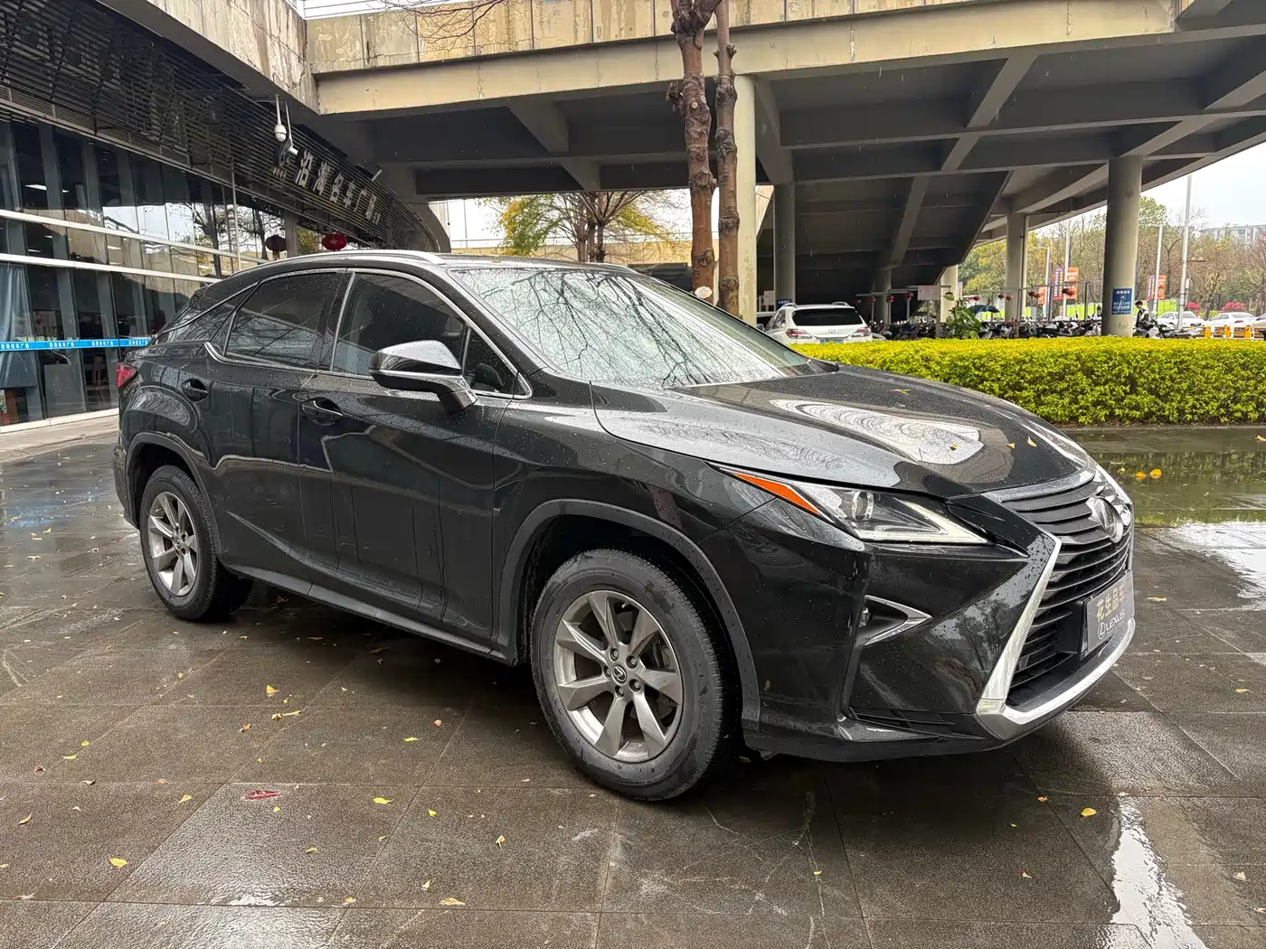 LEXUS RX
