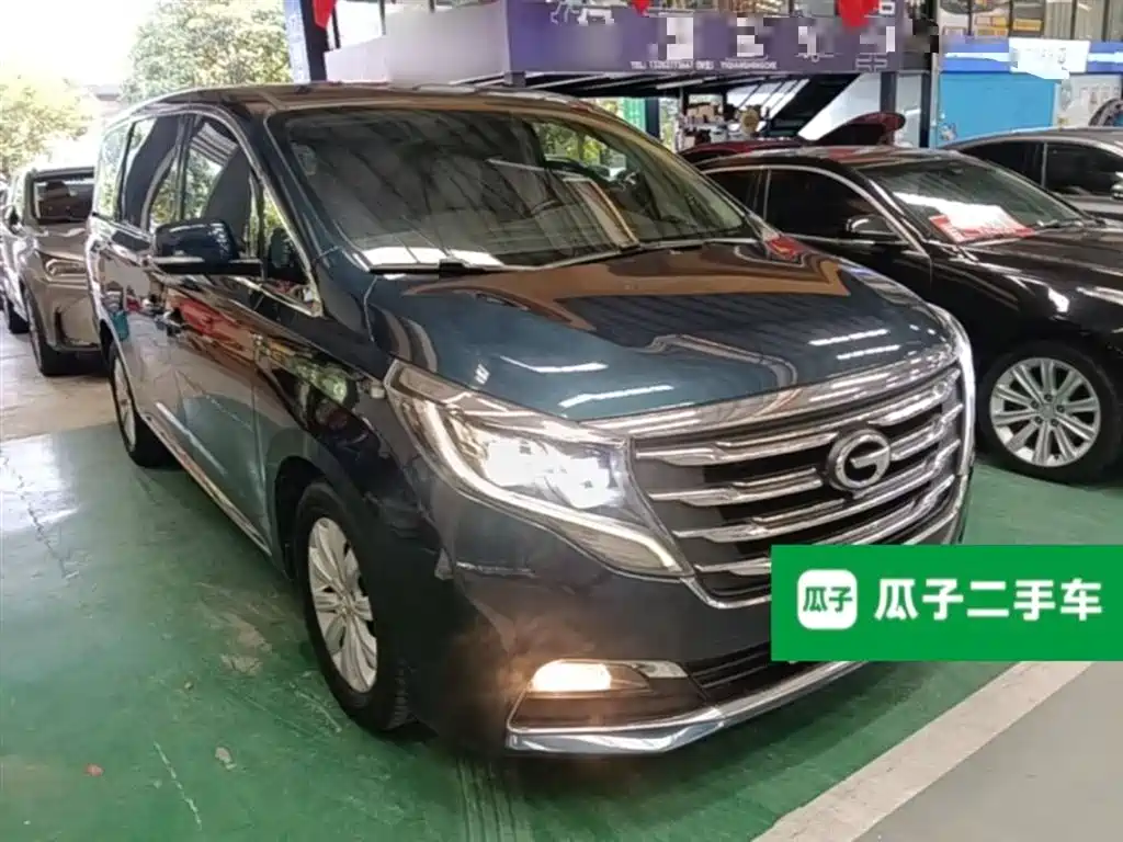 GAC Trumpchi Trumpchi M8 2018 320T Exclusive Edition фото 4