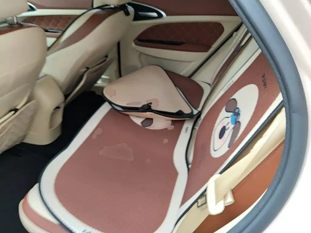 Ora Good Cat 2024 2024 401km Honor 135kW