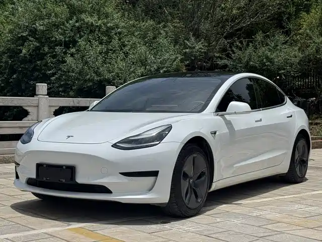 Tesla Model 3 2020