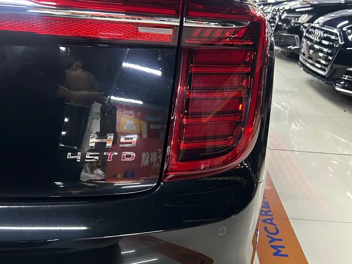 Hongqi H9 2020 2.0T Smart Connection Qi Chang Edition фото 22