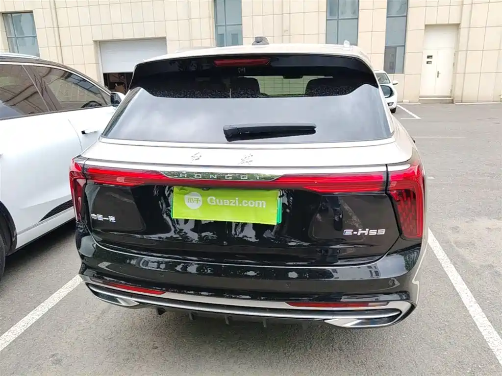 Hongqi E-HS9 2022 660km Qi Ling Edition (4-seater) фото 10