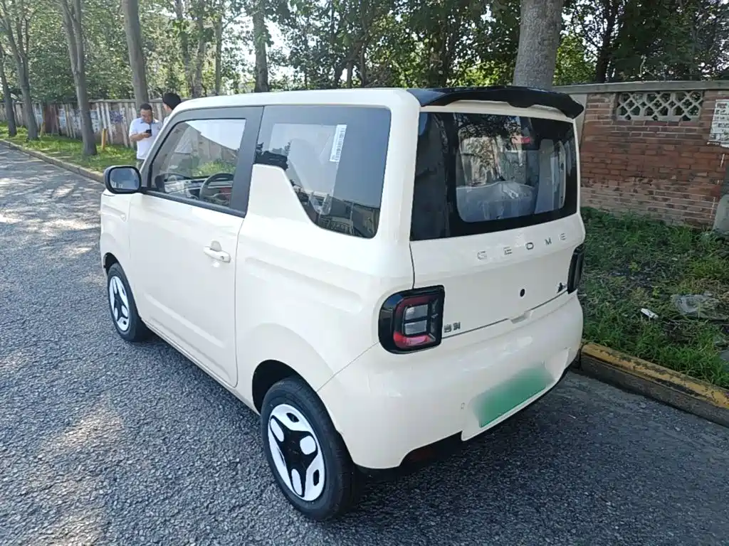 Geely Galaxy Panda 2026 2025 Panda mini 210km Vitality Bear