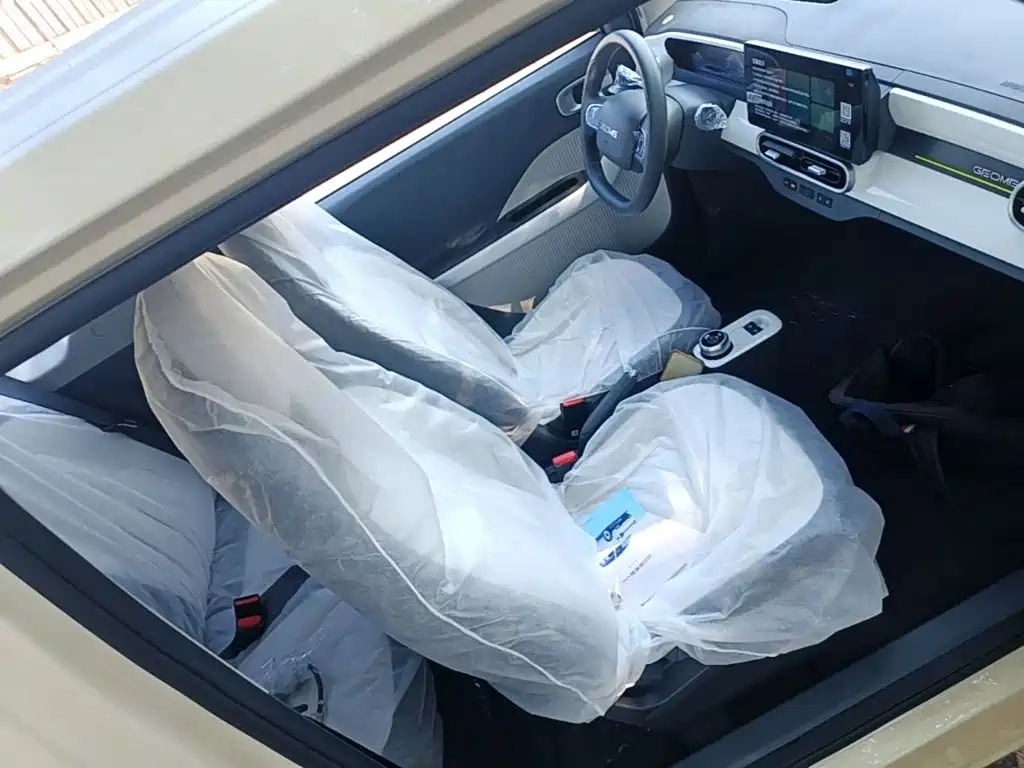 Geely Galaxy Panda 2026 2025 Panda mini 210km Vitality Bear