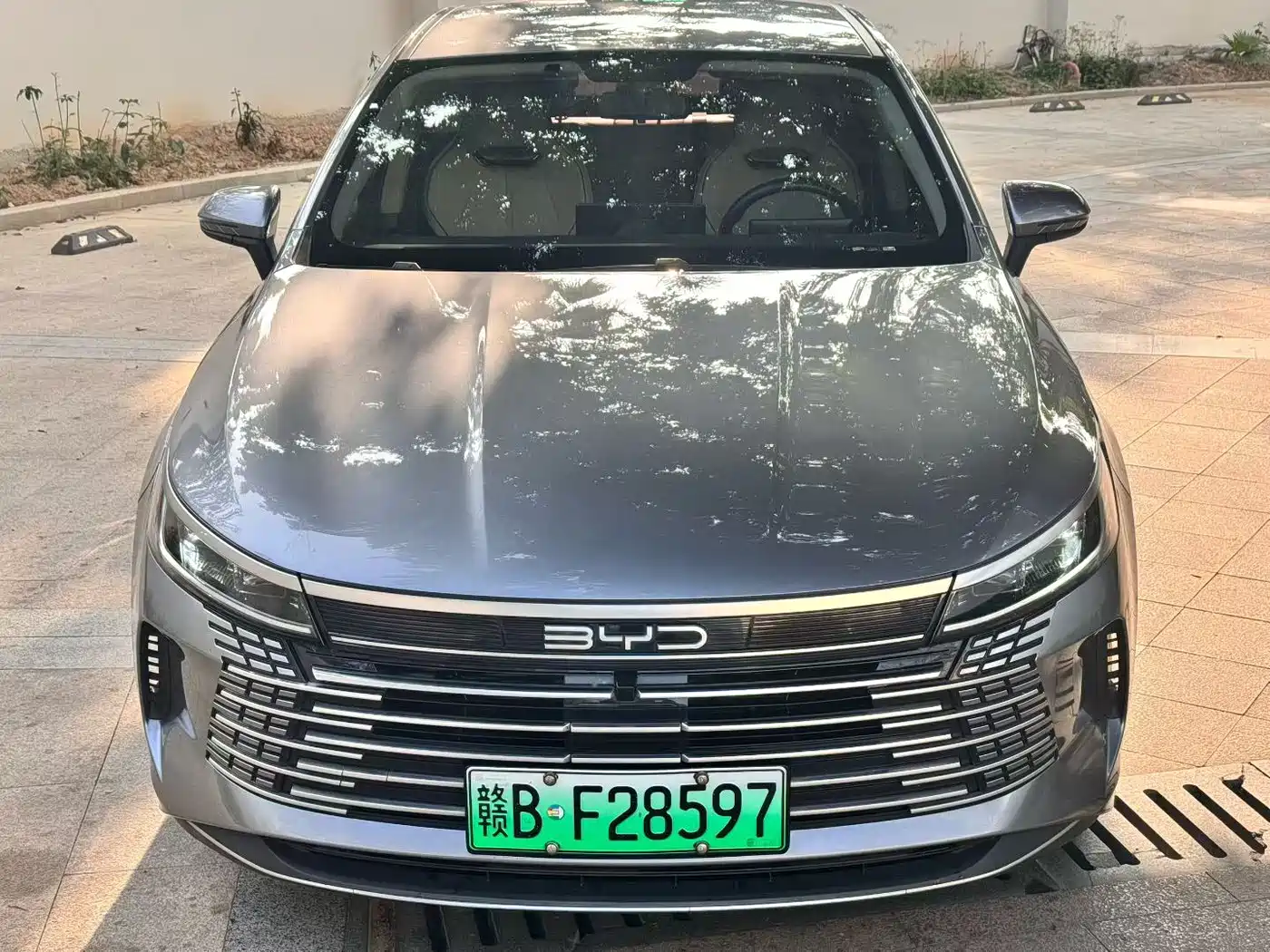 BYD Destroyer 05 2023 Champion Edition DM-i 55KM Luxury фото 2
