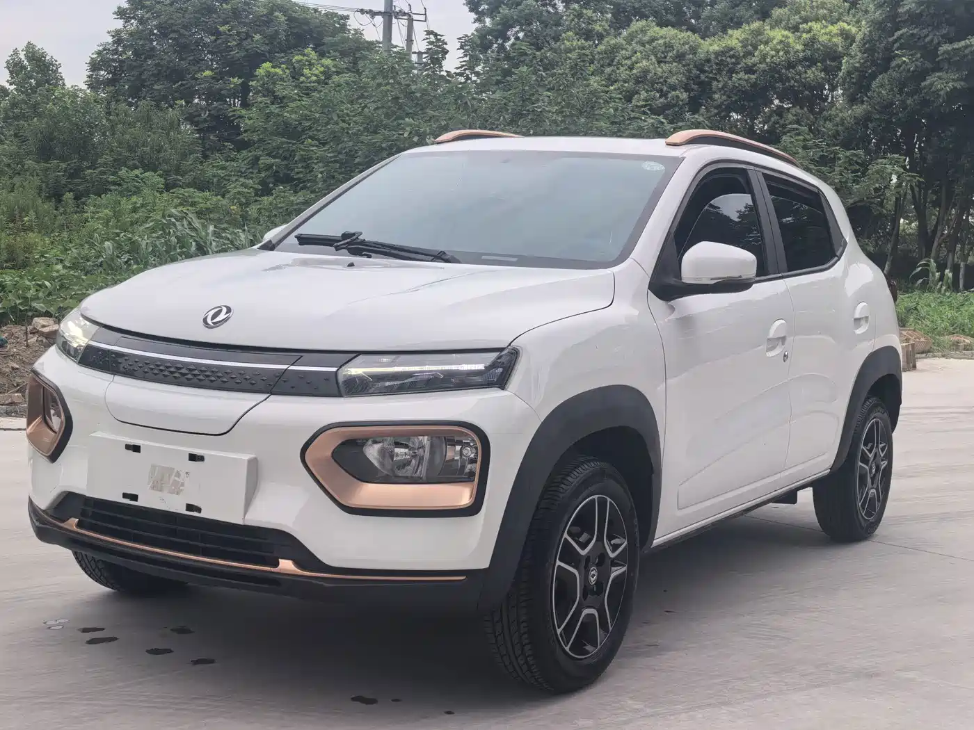 Dongfeng Yipai Dongfeng Nano EX1 2022 2022 Facelift PRO Enjoyment