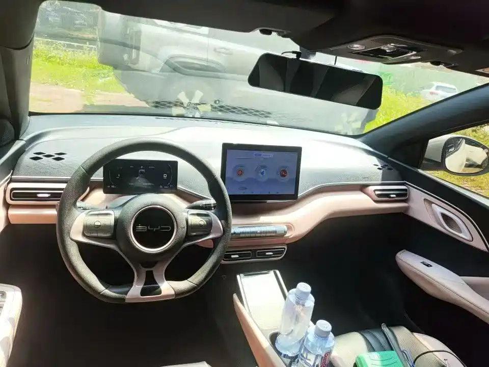 BYD Seagull 2023 Vitality Edition фото 4