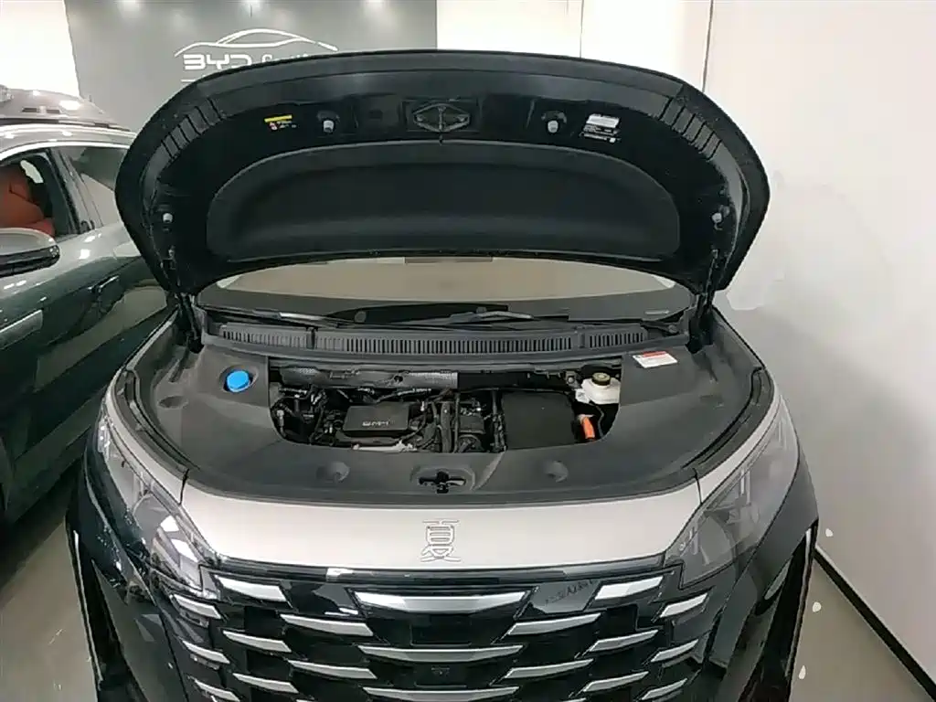 BYD Xia 2025 DM-i 1.5T 180km Surpass Edition фото 20