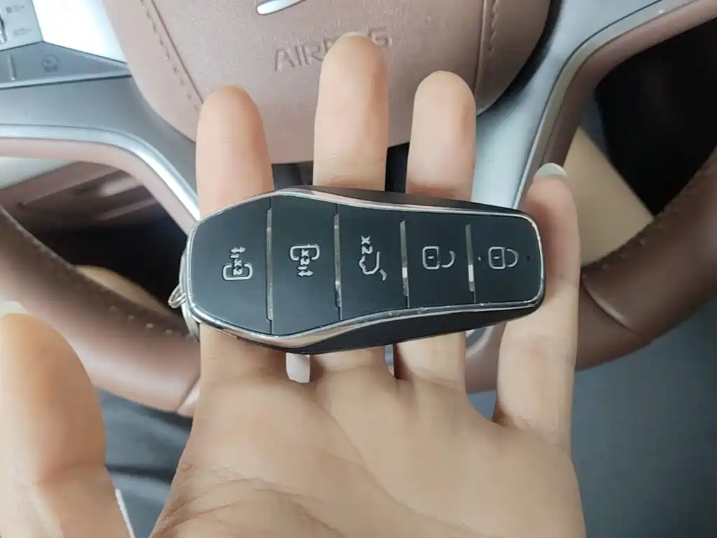 BYD Xia 2025 2025 DM-i 1.5T 180km Surpass Edition