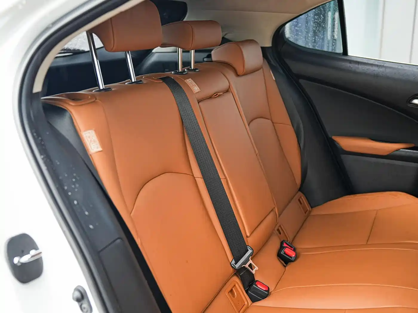 Lexus UX 2020 260h Explore Fun Edition China V фото 15