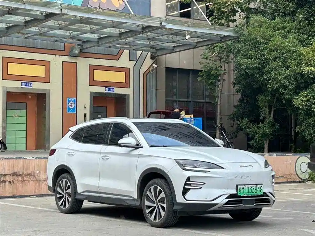 BYD SONGJIANG NEW ENERGY