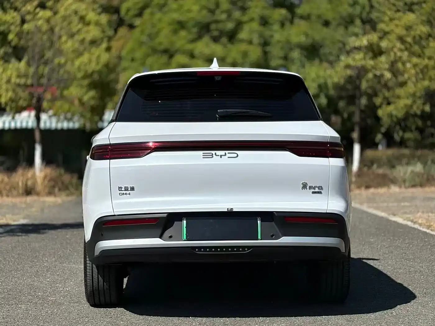 BYD SONGJIANG NEW ENERGY