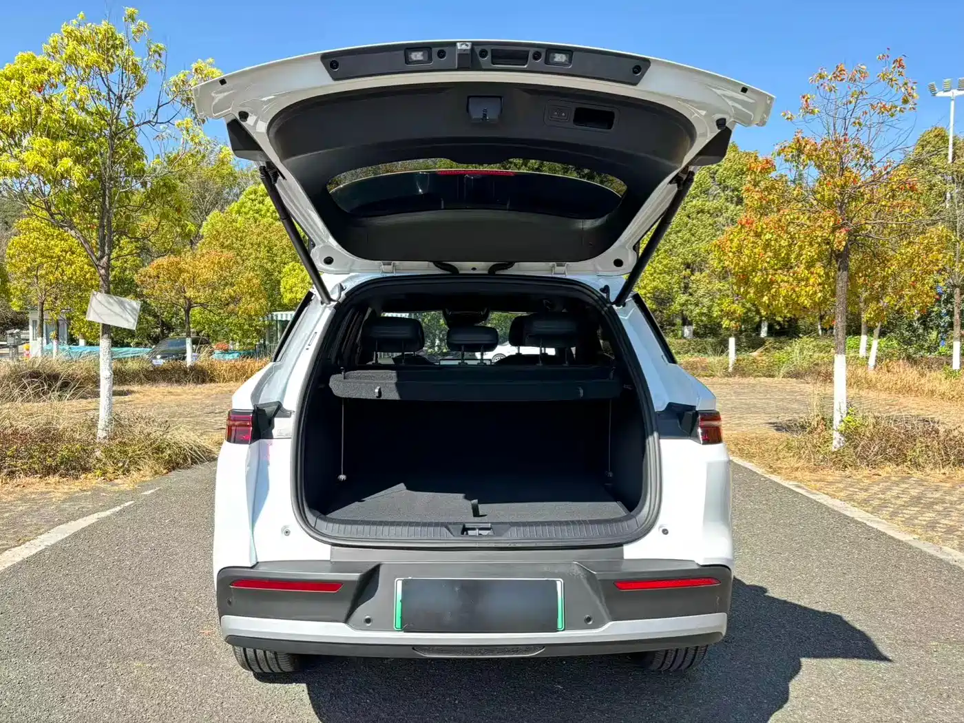 BYD SONGJIANG NEW ENERGY