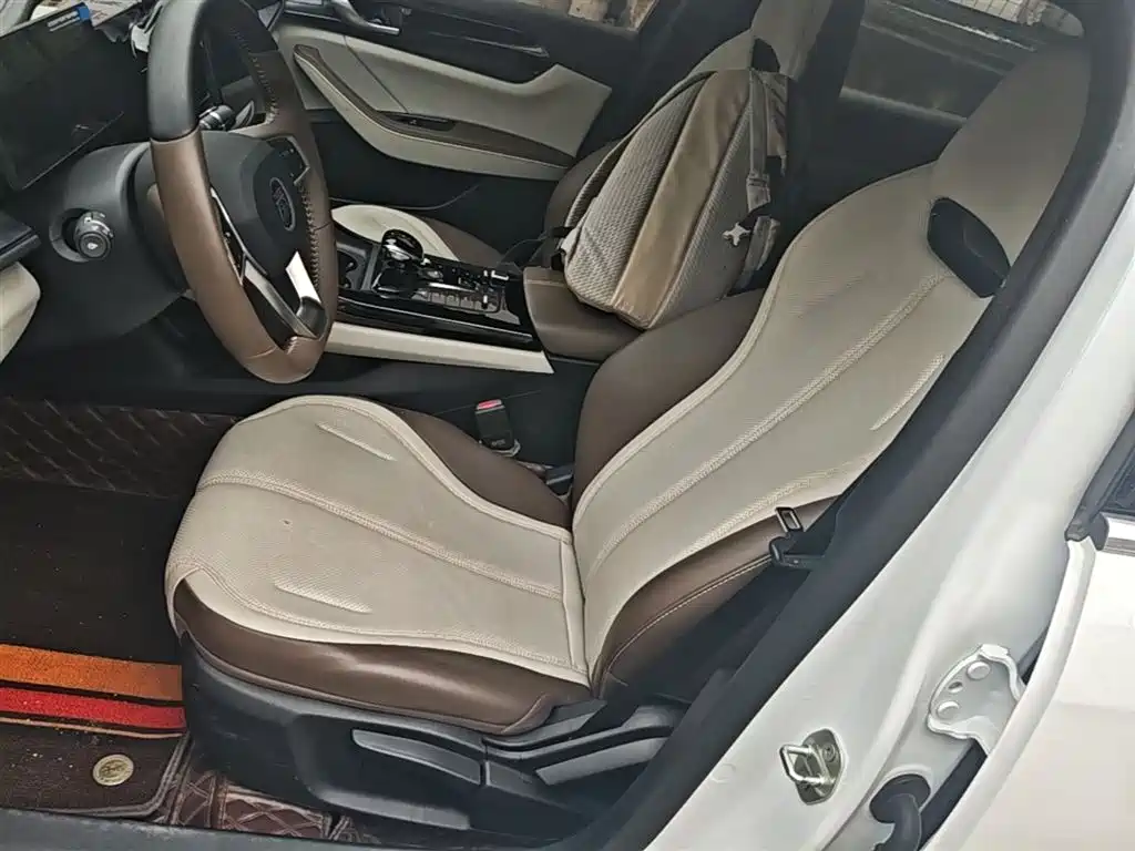 BYD Qin PLUS 2024 Glory Edition DM-i 55KM Leading фото 15