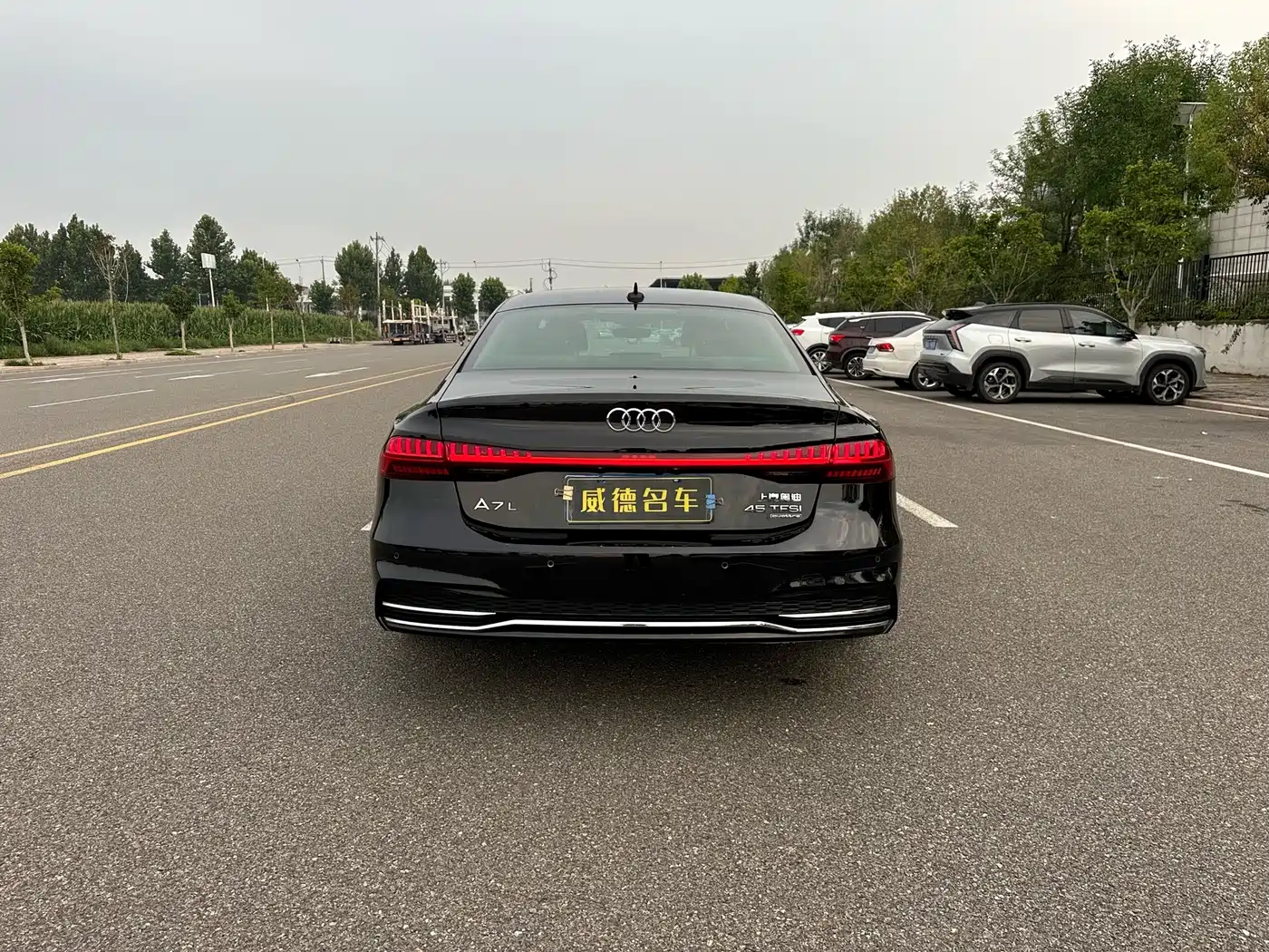 Audi A7L 2022 2022 45 TFSI quattro S-line Vision Crystal Package