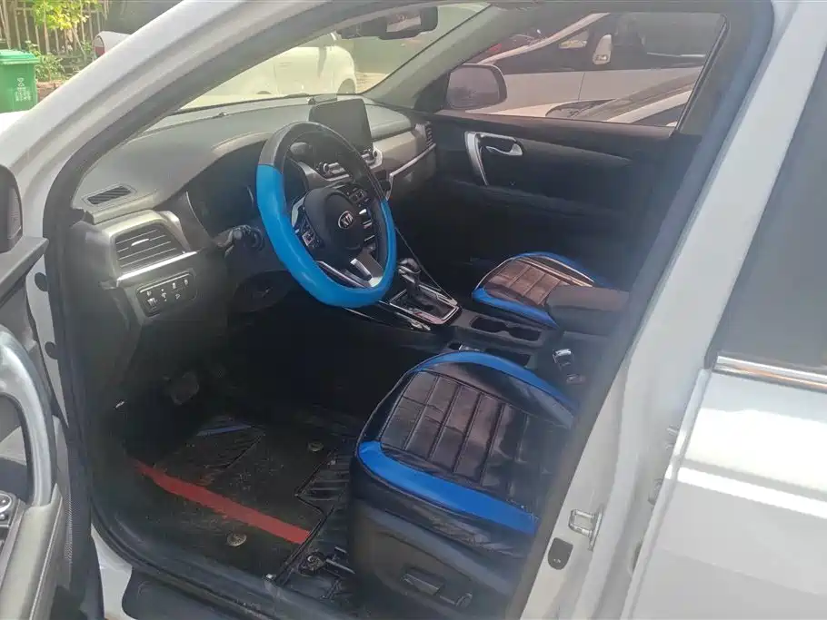 Kia Sportage 2019 2.0L Automatic Smart Luxury Edition фото 9