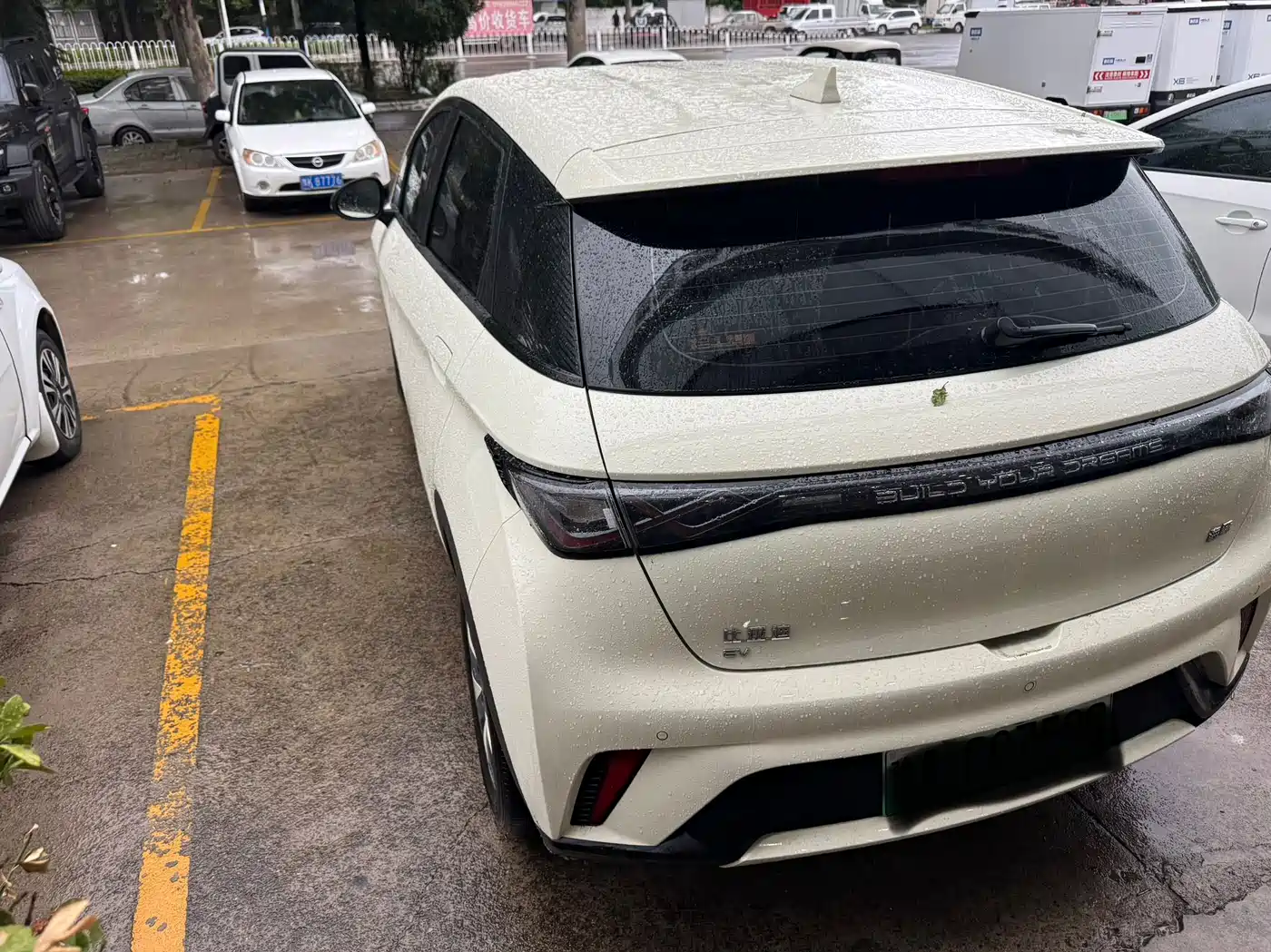 BYD Dolphin 2026 2025 420km Freedom Edition