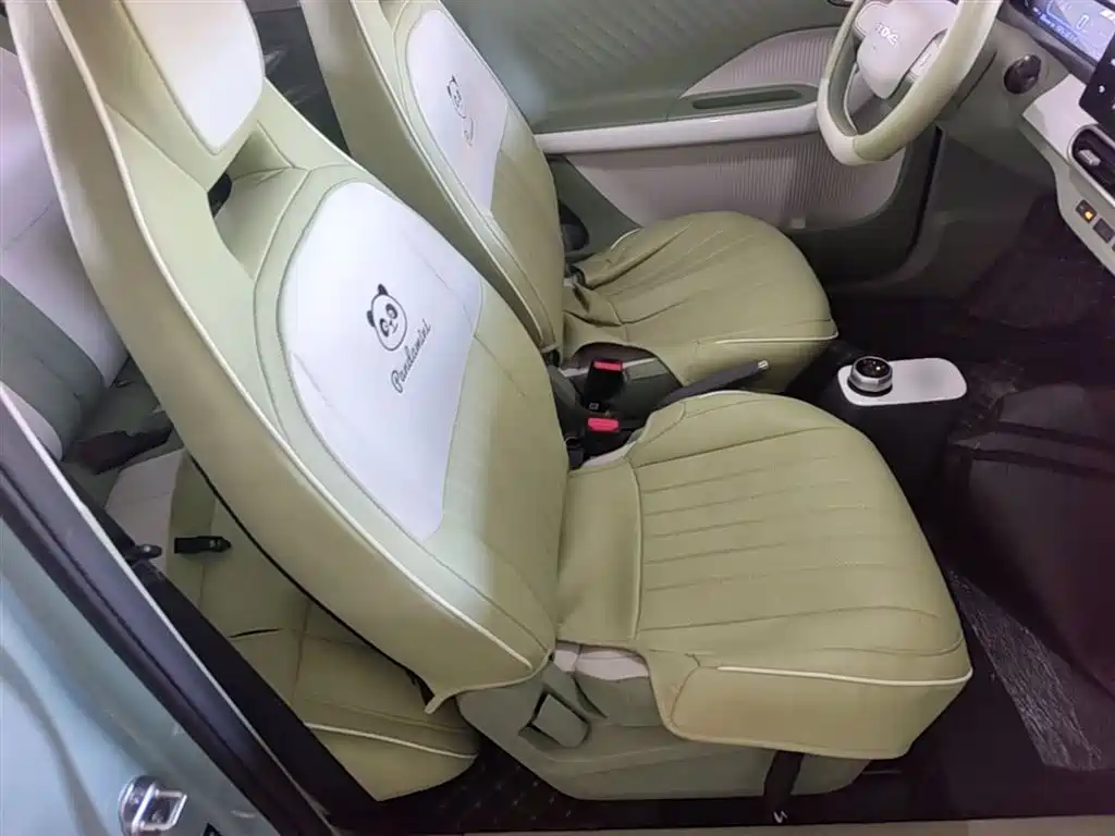 Geely Galaxy Panda 2025 Panda mini 210km Vitality Bear фото 25