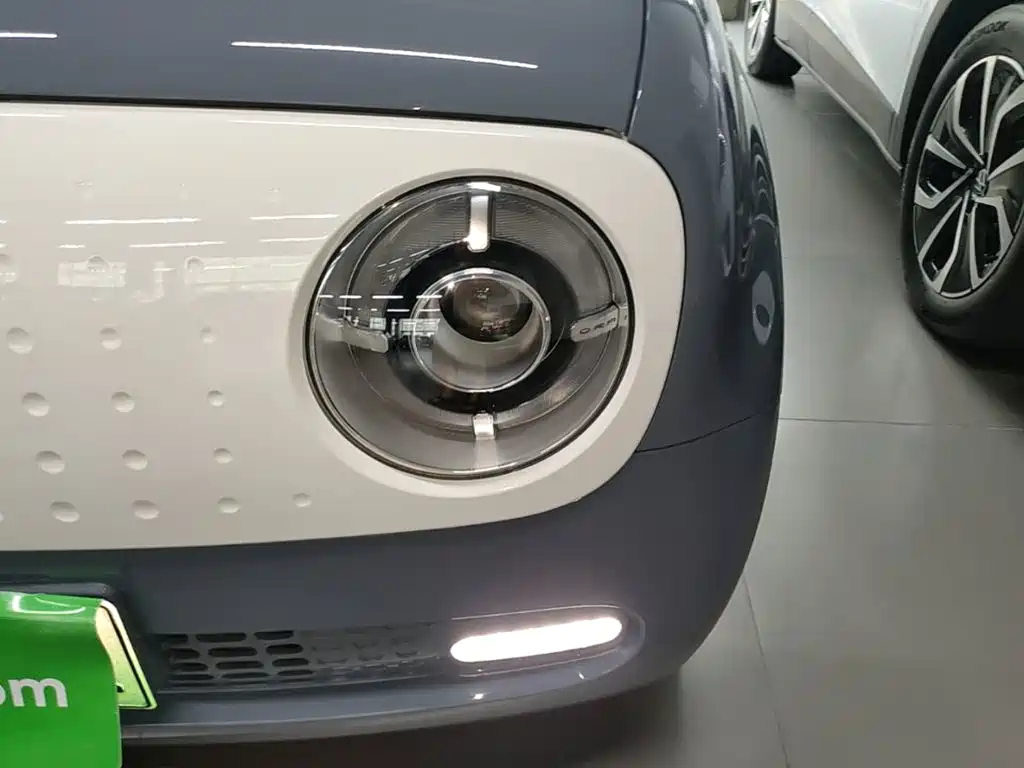 Ora Black Cat 2021 2021 351km Luxury Model