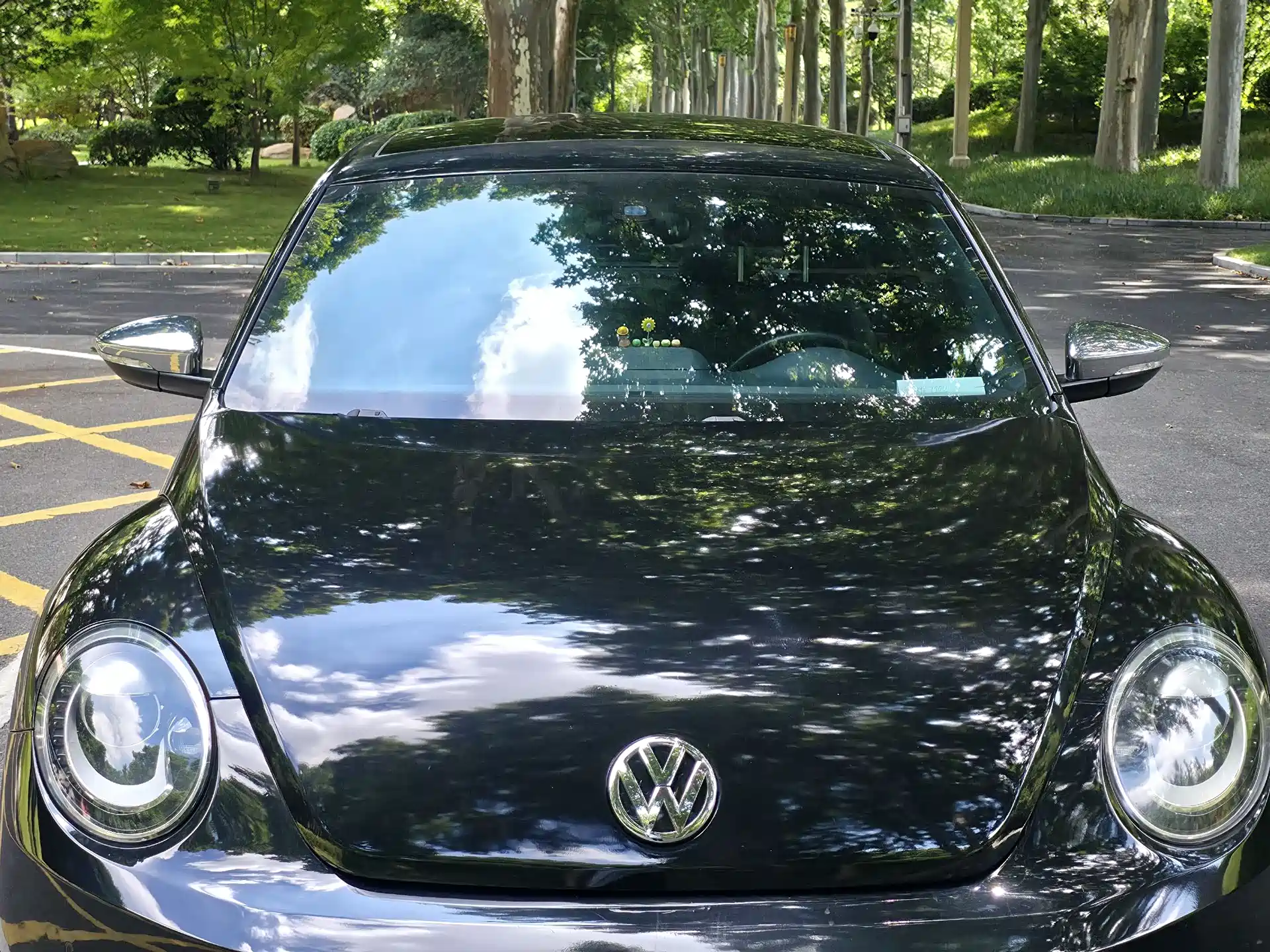Photo 8 - Volkswagen Beetle