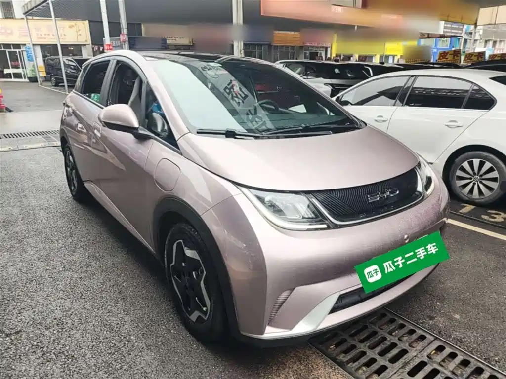 BYD Dolphin 2021 Model 405km Fashion Edition фото 4
