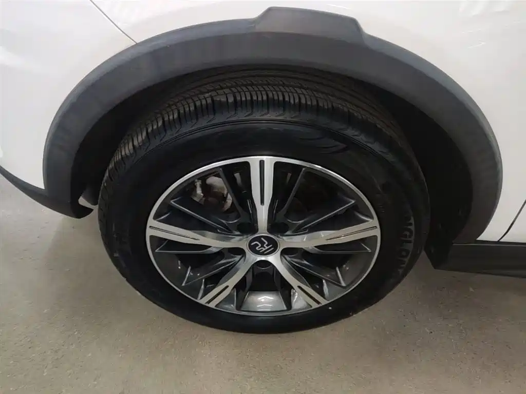 BYD Yuan New Energy 2019 EV535 High Energy Navigation Edition фото 23