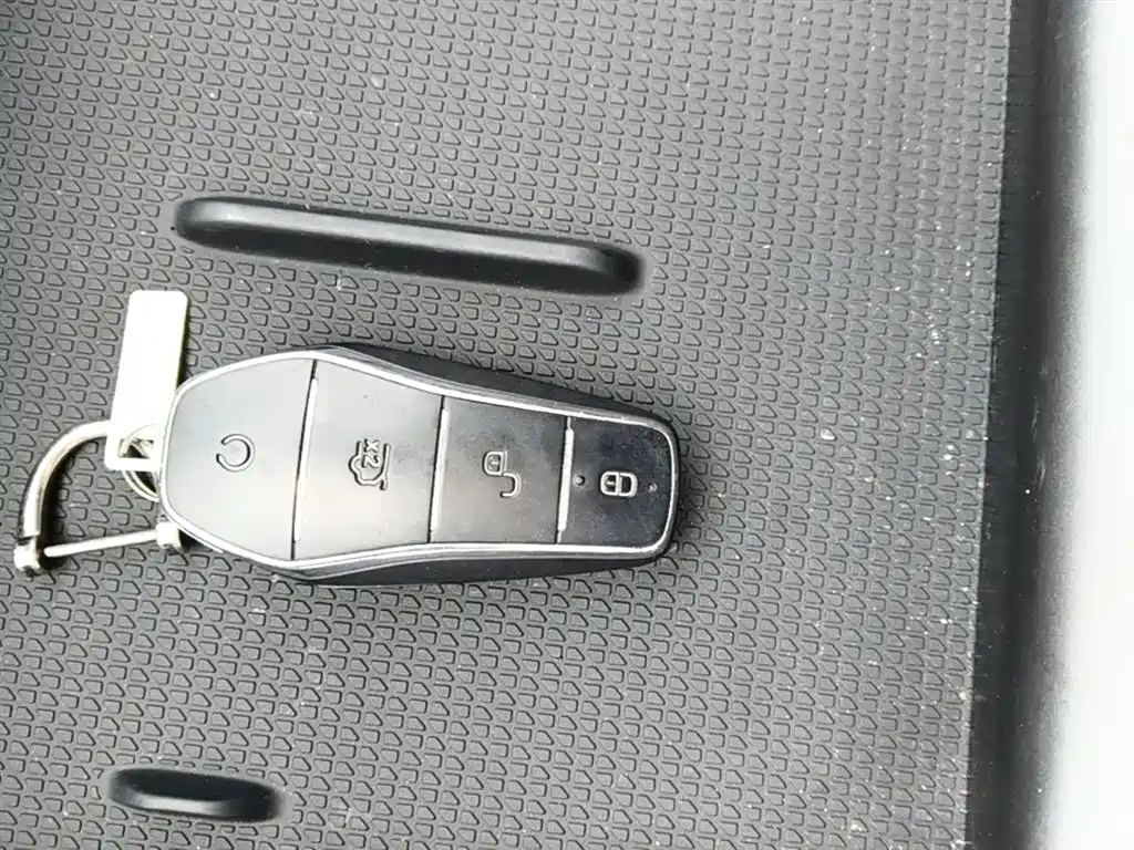 BYD Qin L 2024 DM-i 80KM Superior фото 9