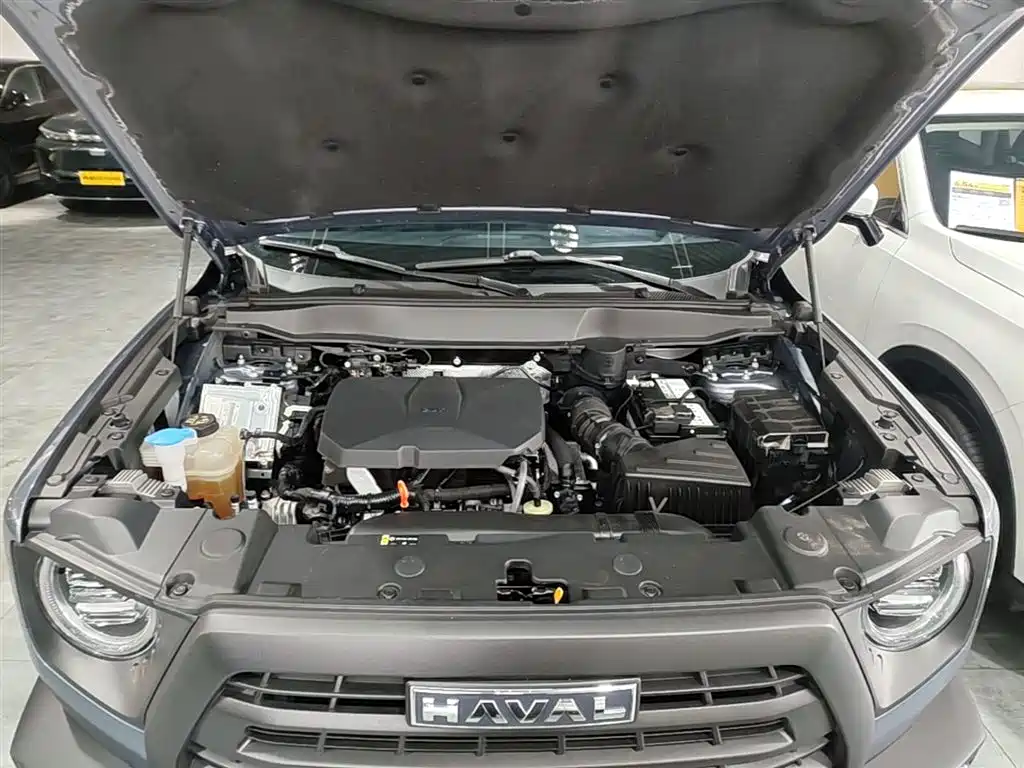 Haval Big Dog 2024 2.0T DCT Chinese Rural Dog Edition фото 20