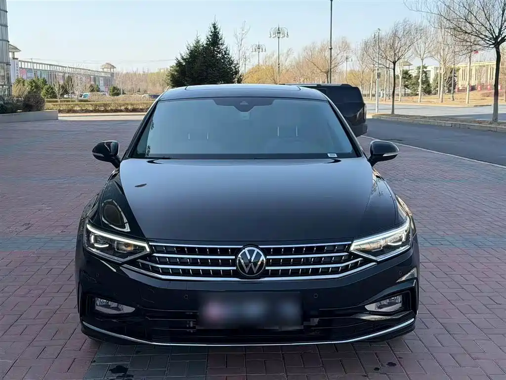 Volkswagen Magotan 2025 Popular Edition 330TSI DSG Luxury фото 3