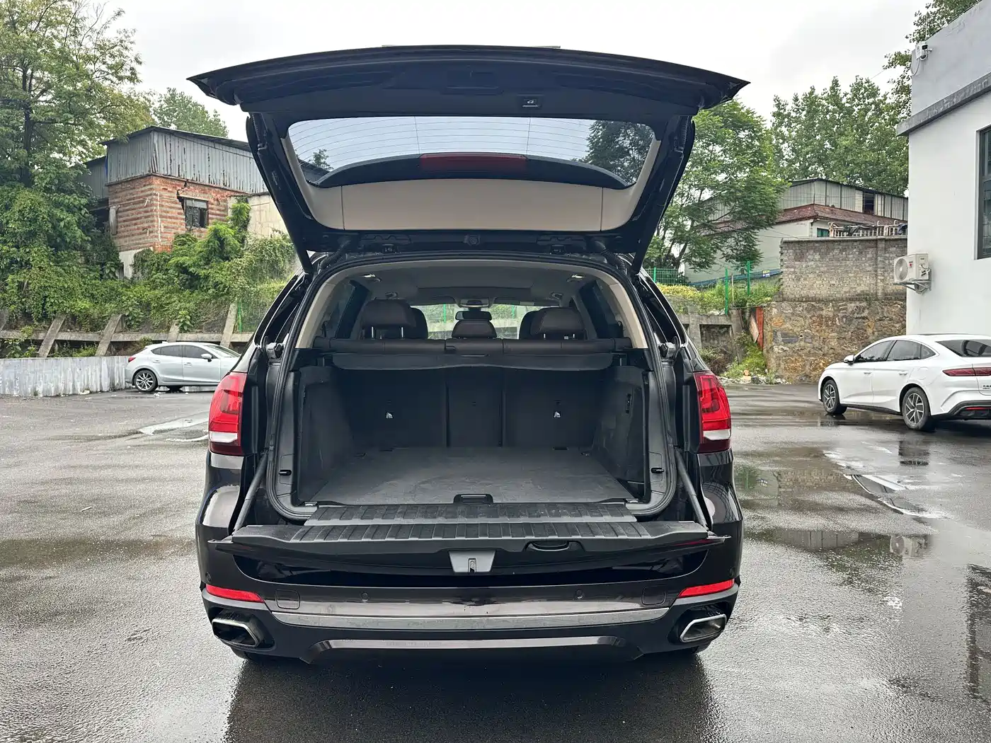 BMW X5 (Import) 2018 xDrive35i Elegant Model фото 13