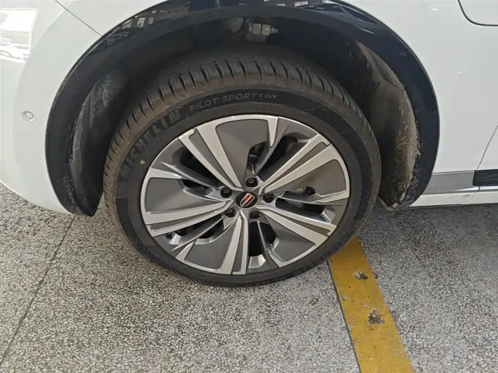 Hongqi E-HS9 2022 660km Qi Chang Edition (6-seater) фото 23