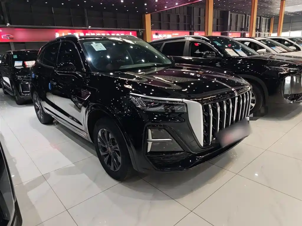 Hongqi HS5 2023 2.0T Flag Enjoy Pro Edition фото 7