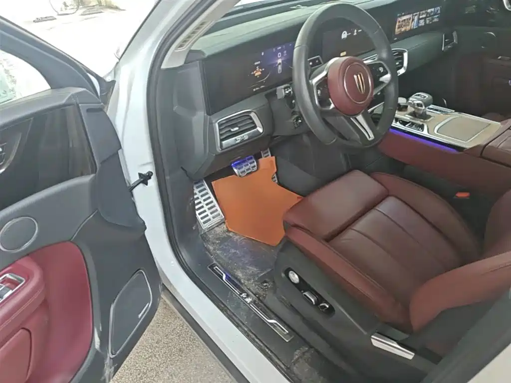 Hongqi E-HS9 2022 660km Qi Chang Edition (6-seater) фото 16