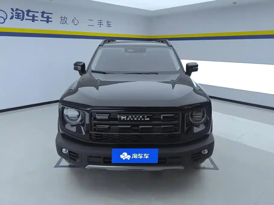 Фото 2 - Haval Dargo