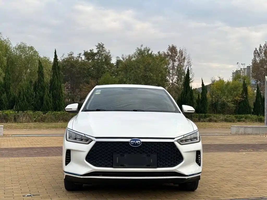 Фото 2 - BYD e2