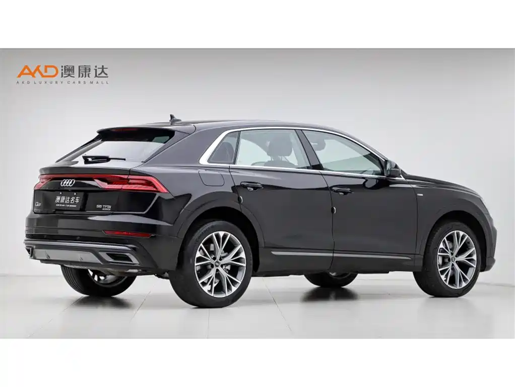 Audi Q8 2023 2022 55 TFSI Luxury Dynamic