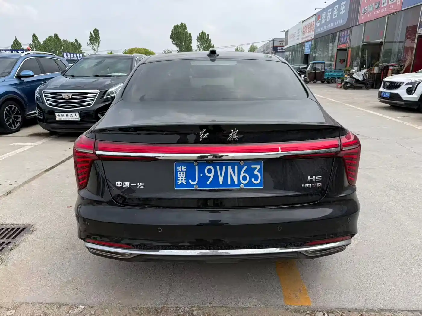 Hongqi H5 2025 2.0T Automatic Flag Celebration 500,000 Units Anniversary Edition фото 8