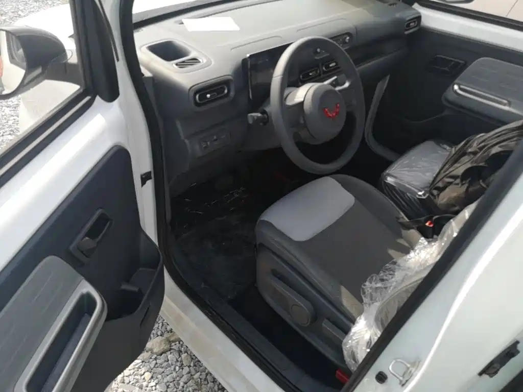 Wuling Motors Wuling Zhiguang NEV 2026 2025 Model 305km Base Version