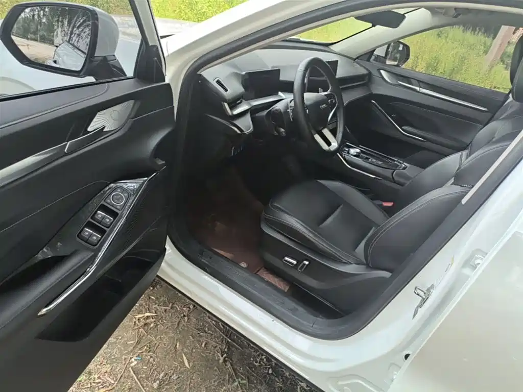 Haval H6 2021 3rd Gen 1.5T Auto 2WD Pro фото 15