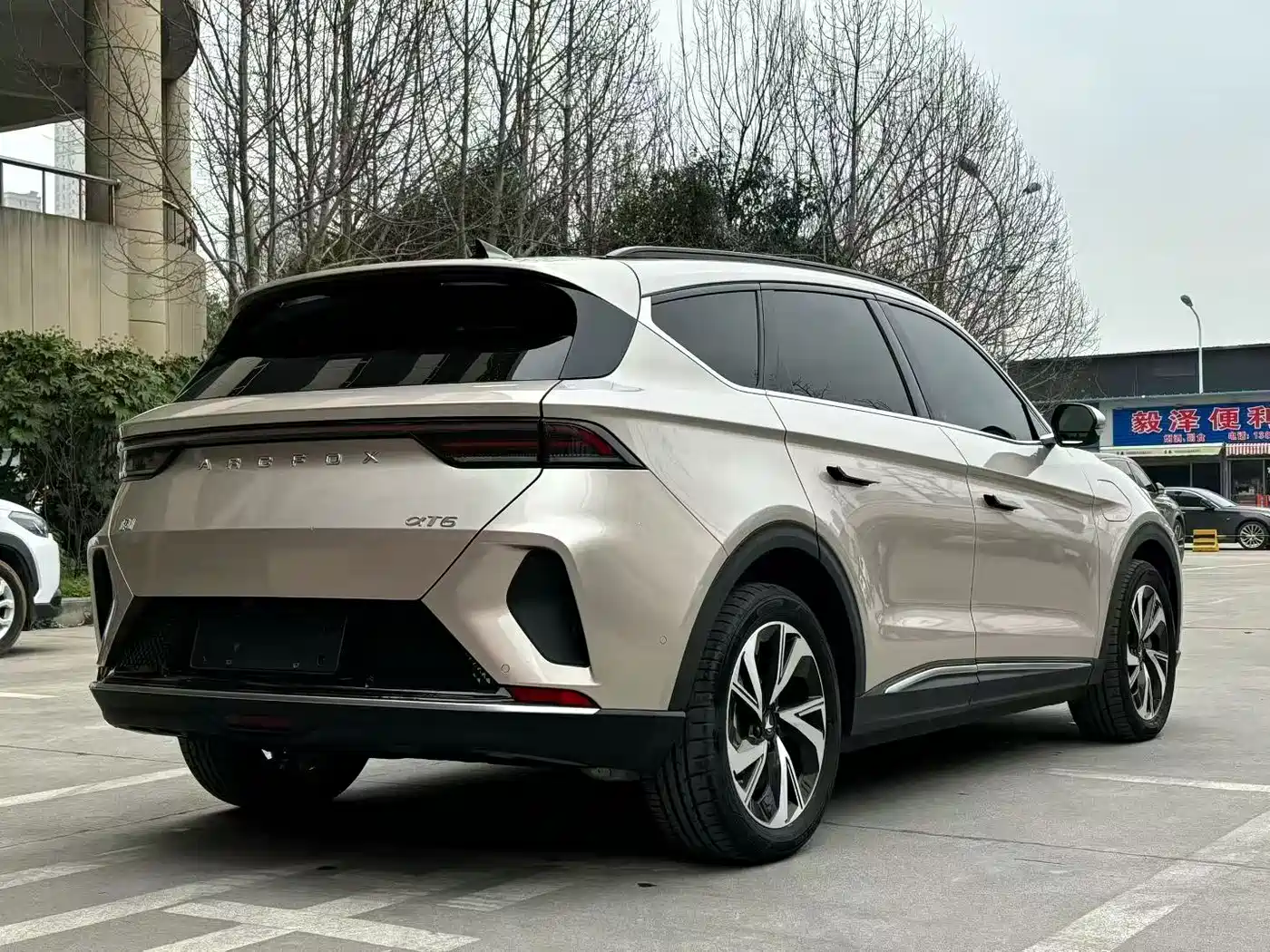 ARCFOX EXTREME FOX POLAR FOX ALPHA T6