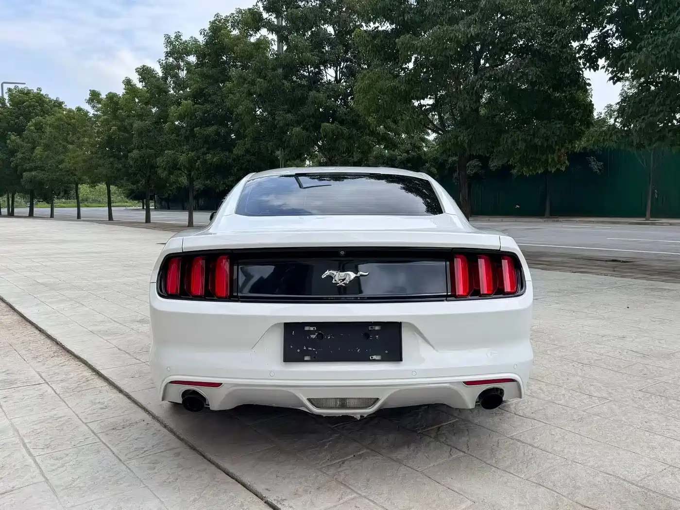 Ford Mustang 2015 2015 2.3T Performance Edition