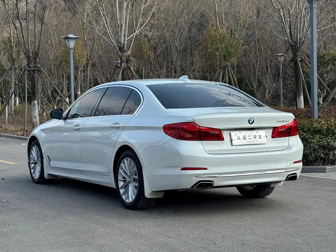 BMW 5 Series 2019 525Li Luxury Package фото 9